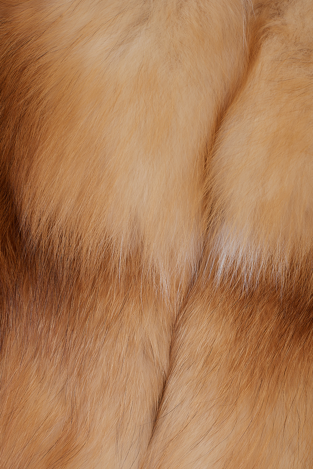 Capă din blană naturală de vulpe roșcată canadiana 625 K (3)