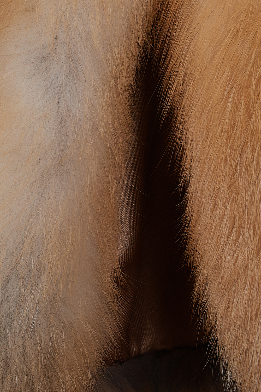 Capă din blană naturală de vulpe roșcată canadiana 625 K (4)