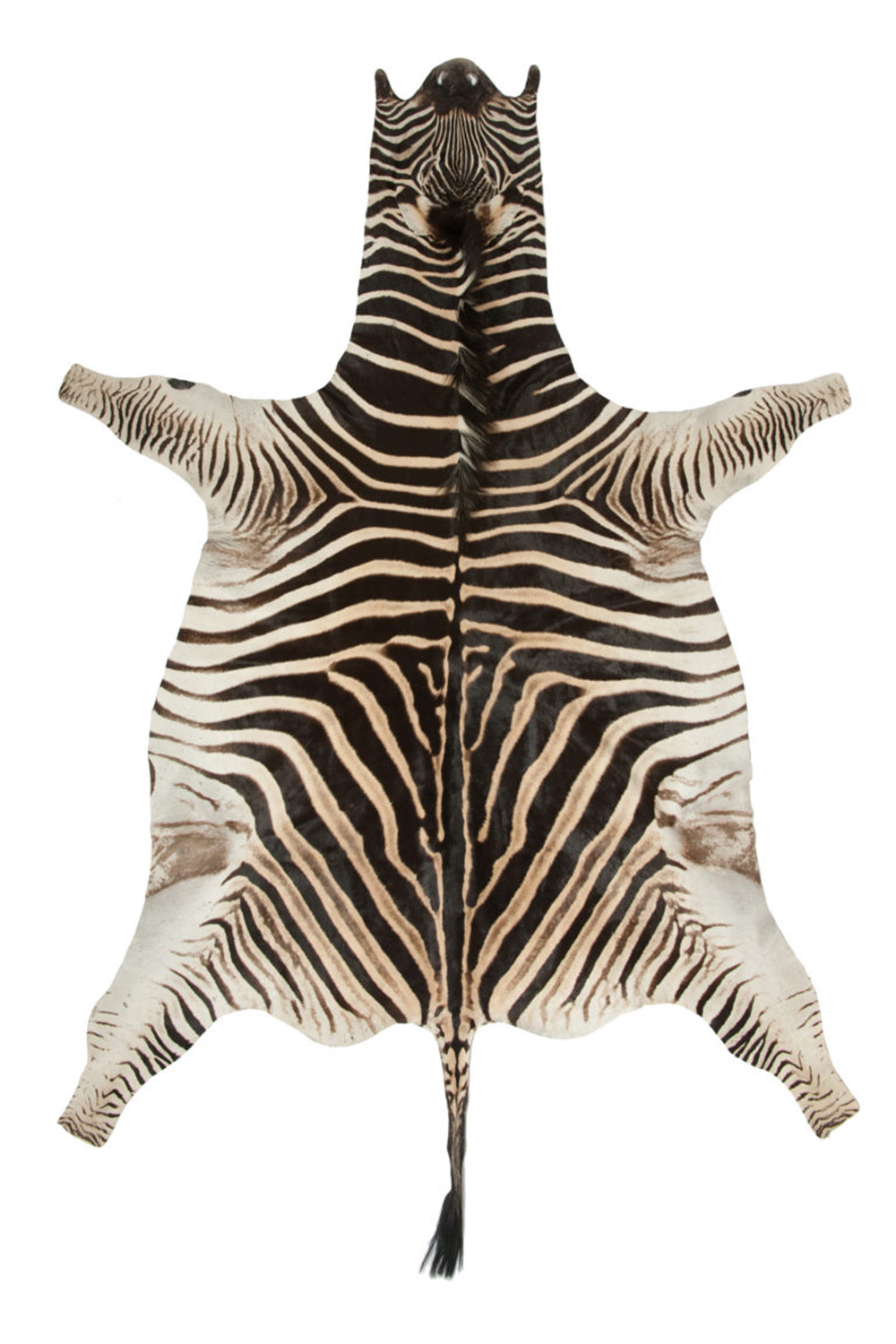 Blana decorativa de zebra naturala 997-2