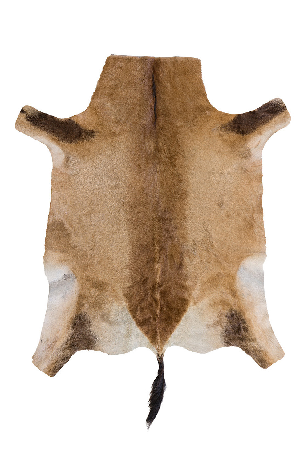 Blana decorativa de Res Hartebeest 997-4