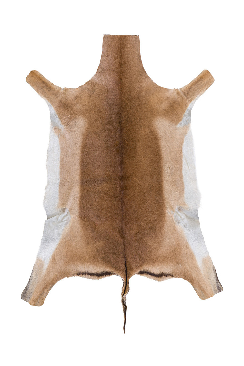 Detaliu textura blana naturala de impala Africa de Sud 997-3